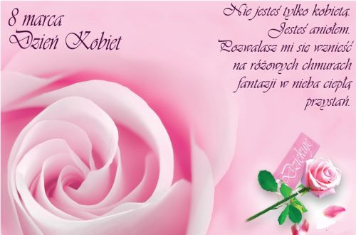 Nie jesteś tylko kobietą